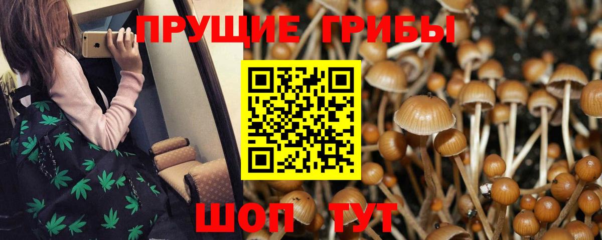 купить  сайты  Галлюциногенные грибы Cubensis  Горячий Ключ  Вход с VPN  Псилоцибиновые грибы Psilocybine cubensis 